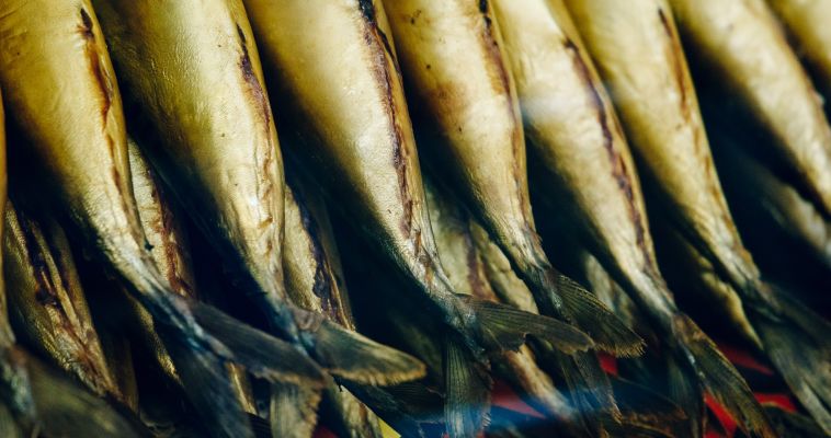 Японскую рыбу проверят на радиацию и вернут на прилавки