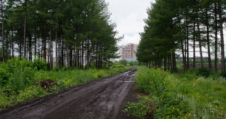Стали  известны  города-победители конкурса «Аллеи Славы»