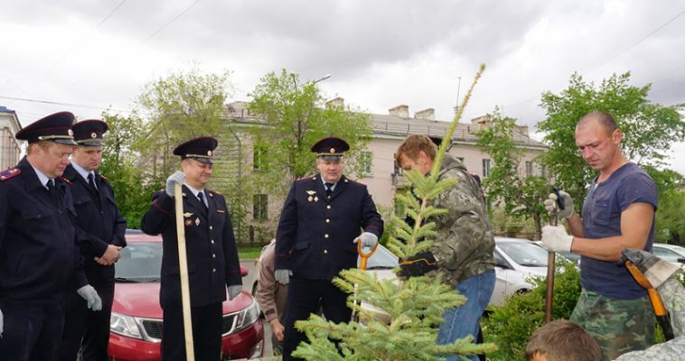 Полицейские добавили зелени в Магнитогорск