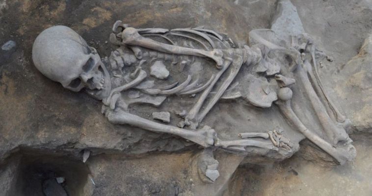 В церковном подполе нашли скелет