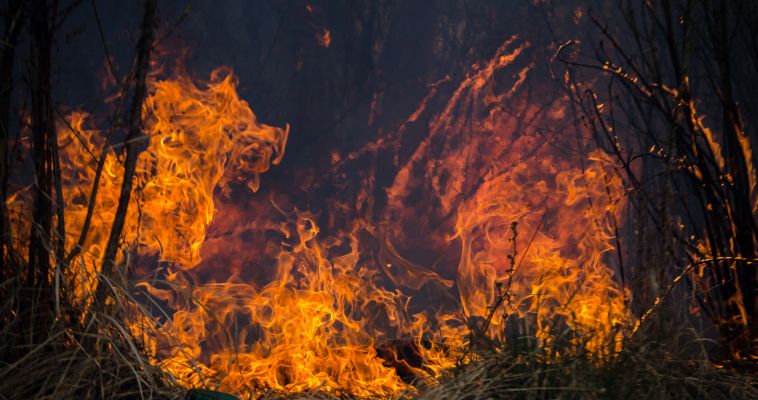 В Магнитогорске в выходные сгорели три дома
