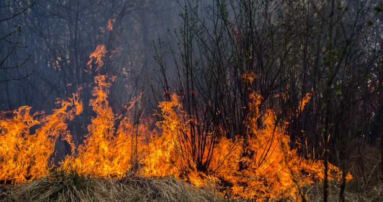 Магнитогорские огнеборцы всю ночь тушили лесной пожар