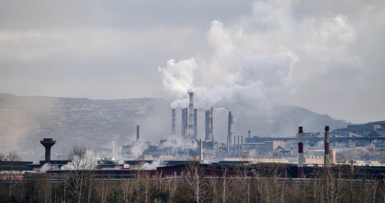 Гринпис предложил публиковать в сети данные о загрязнении воздуха