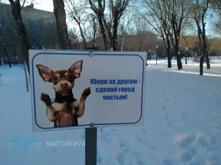 В парках города появились новые таблички для владельцев собак
