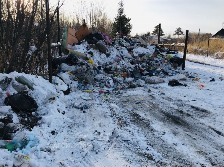 В СНТ «Метизник» зимующие садоводы стали заложниками мусорного коллапса