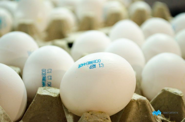 Антимонопольная служба проверит цены на яйца в Челябинской области
