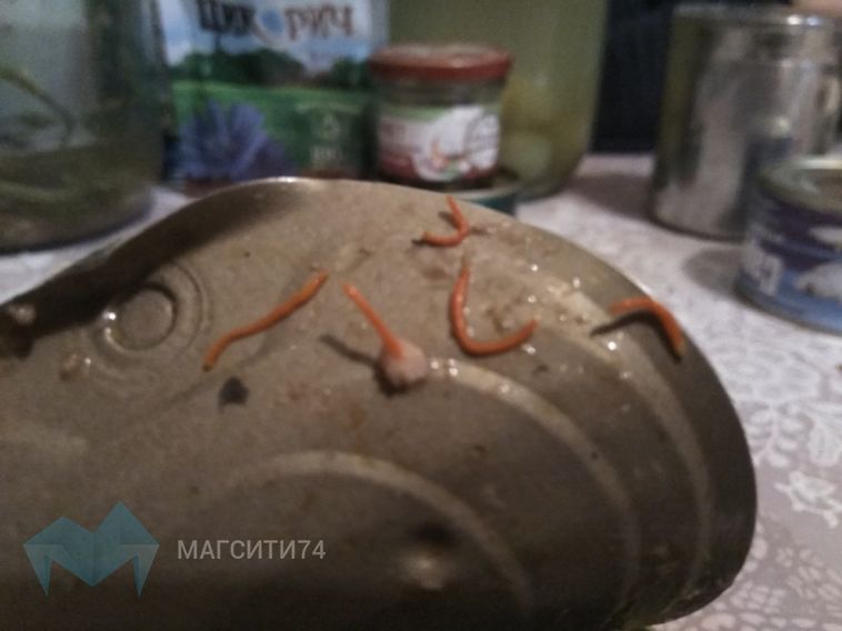 Жительница Магнитогорска чуть не приготовила пирог с червями