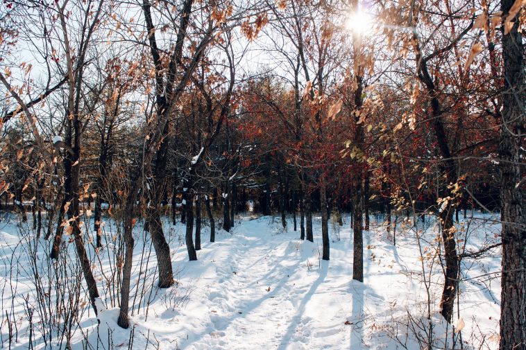 Прогноз погоды на четверг