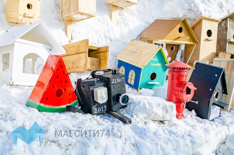 Арбуз, фотоаппарат, гитара: в Магнитогорске выбрали «Лучший домик для птиц»