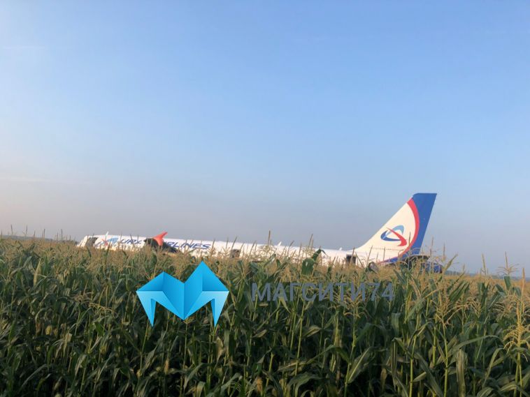 Самолет «Уральских авиалиний» экстренно приземлился в кукурузном поле