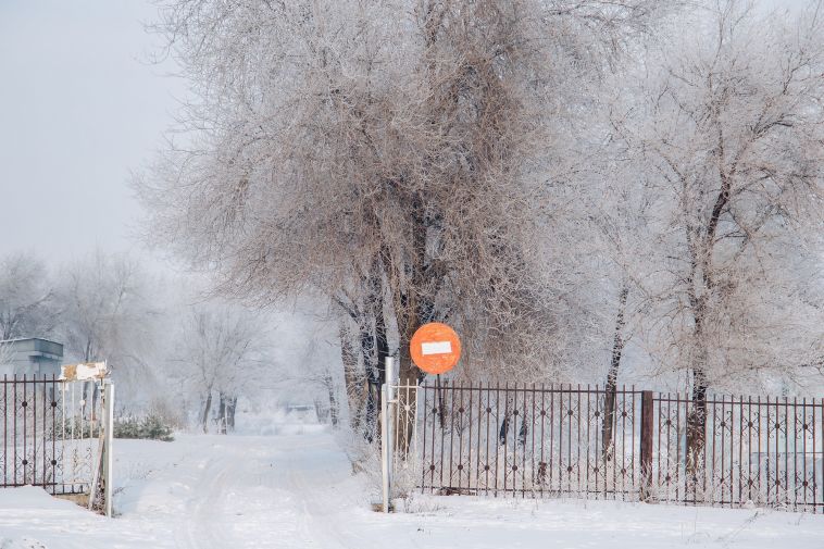 Прогноз погоды на завтра