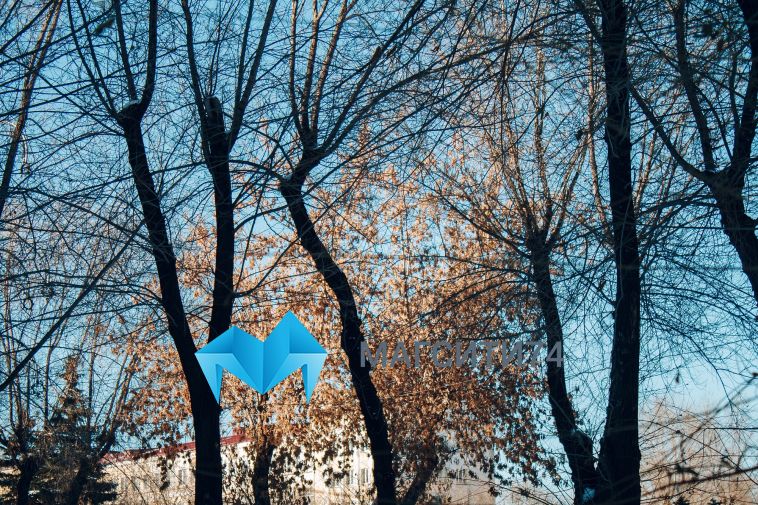 Прогноз погоды на пятницу