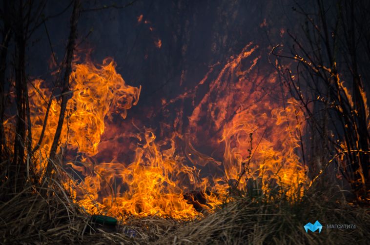 Пожар нанёс ущерб в полтора миллиона баням на Малиновой