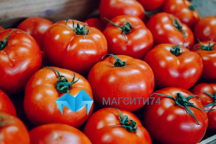 Россельхознадзор запретил ввоз яблок и томатов из Азербайджана