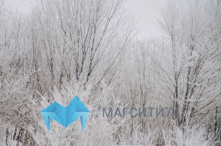 Прогноз погоды на завтра