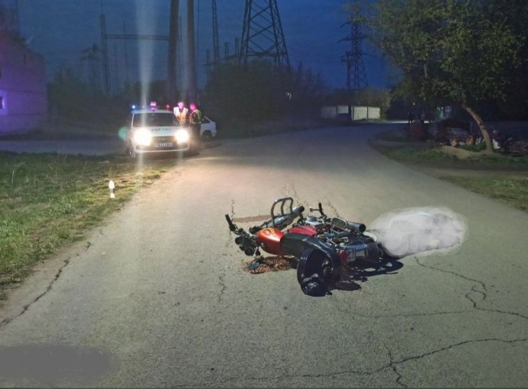 В Челябинской области водитель мопеда погиб из-за собаки, перебегавшей дорогу