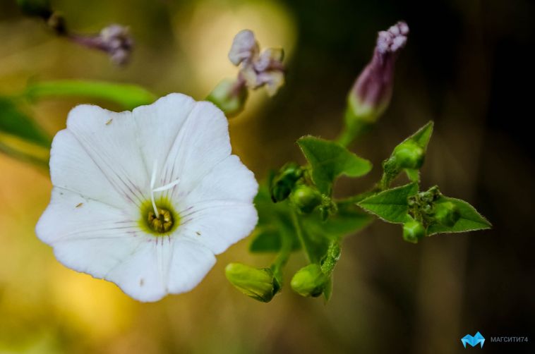 Прогноз погоды на среду