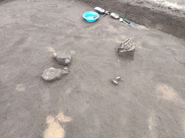 Во время раскопок в Челябинской области обнаружили захоронение младенца эпохи Аркаима