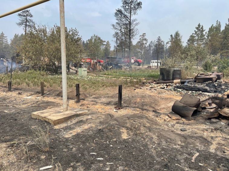 Один человек погиб при лесных пожарах в Челябинской области