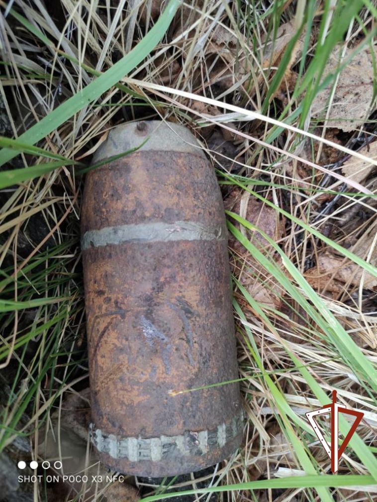 В Челябинской области нашли боевой снаряд 19 века