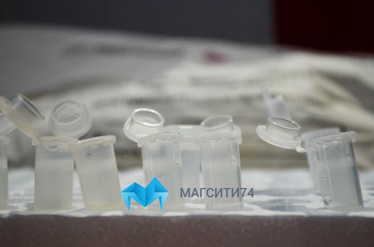 В Магнитогорске за сутки коронавирусом заболели 43 человека