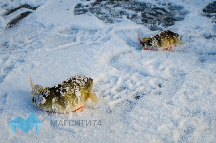 На Урале ещё один рыбак провалился под лёд