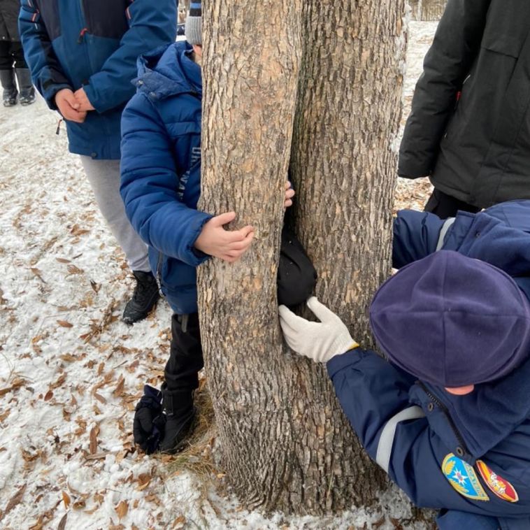 В Челябинской области школьник застрял между деревьев