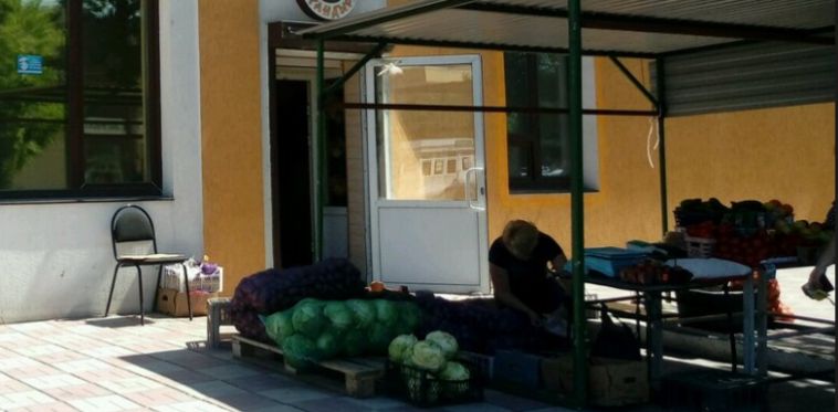 В Магнитогорске предприниматель арендовал землю под аптеку, а вместо этого начал торговать овощами