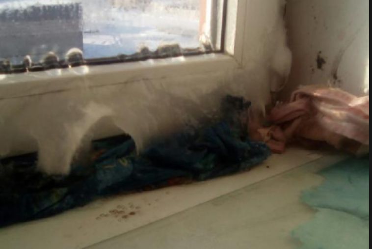 На Южном Урале детям-сиротам приобрели жилье с грибком и плесенью