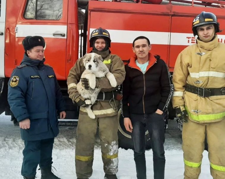 В Челябинской области пожарные спасли щенка в канун Крещения