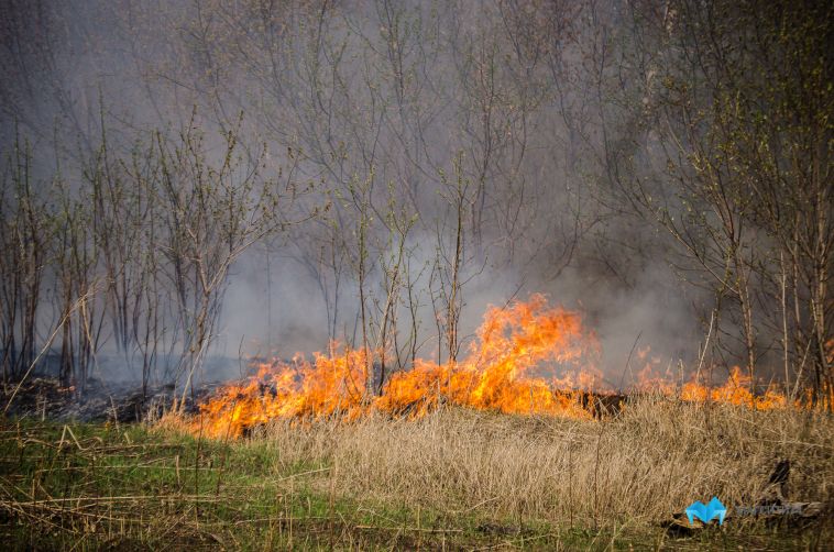 Жителям Челябинской области напомнили о правилах пожарной безопасности на природе