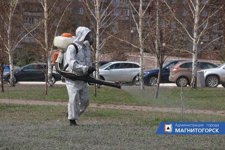 В Магнитогорске в ближайшие дни начнут обрабатывать кладбища от клещей