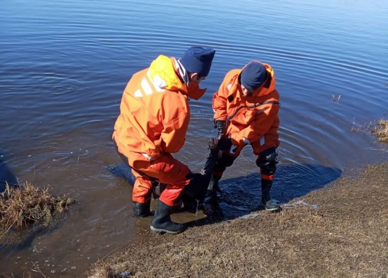 На Южном Урале пропавшего на рыбалке пенсионера нашли погибшим