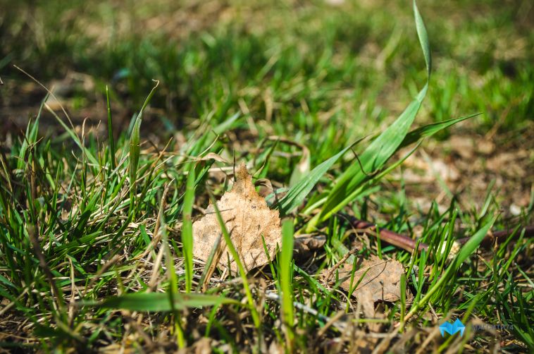 Прогноз погоды в Магнитогорске