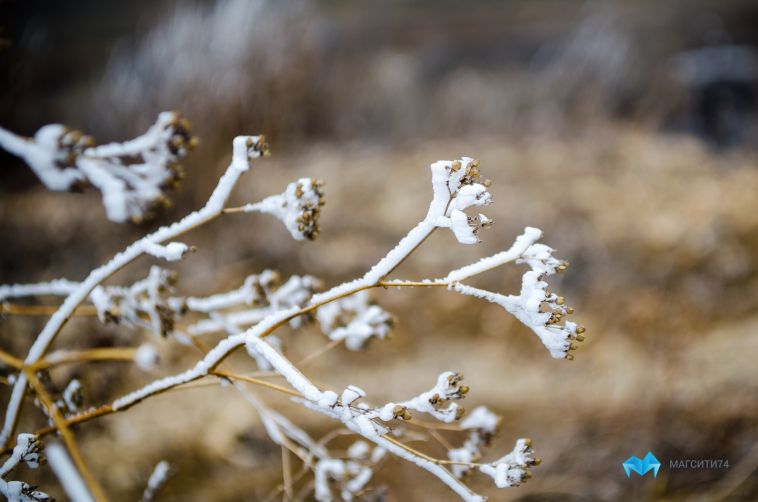 Прогнозируют ледяной дождь: южноуральцев предупреждают о резком ухудшении погоды