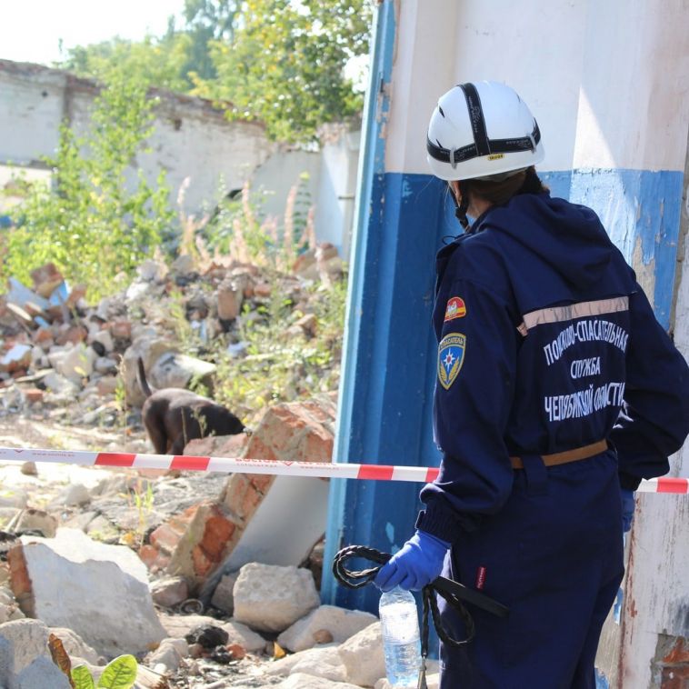 Поисково-спасательная служба впервые организует аттестацию для кинологов и спасателей