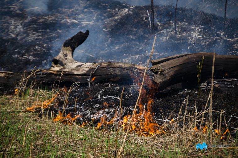 В Магнитогорске в районе ТЦ «Стройдвор» загорелась трава