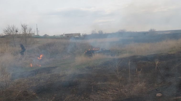 В Магнитогорске задержали поджигателя