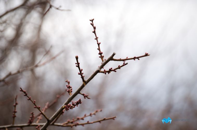 Прогноз погоды на выходные