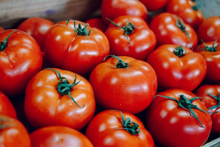 В Челябинской области сливы и томаты поступят в продажу после обеззараживания