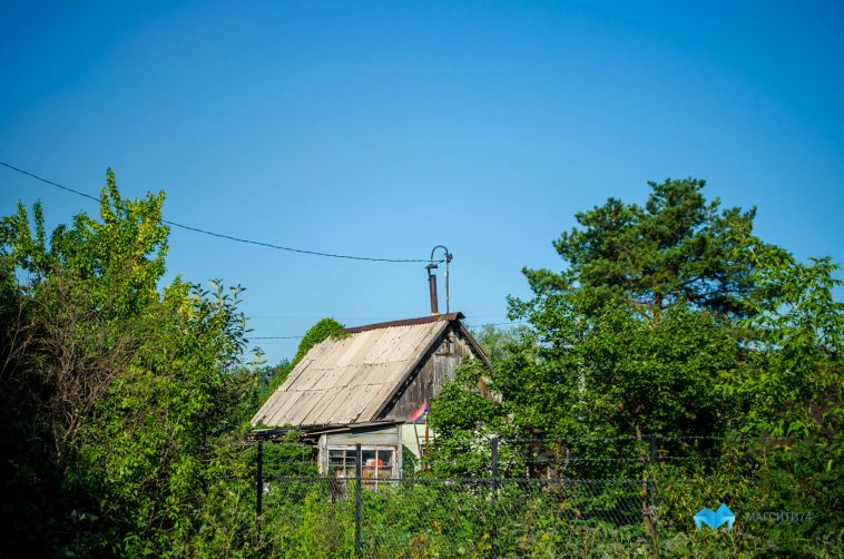 Большинство жителей Челябинской области хотят обзавестись садом
