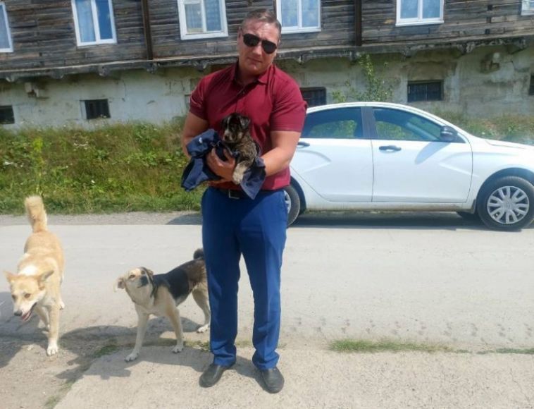 На Южном Урале полицейские спасли щенка, застрявшего в гудроне