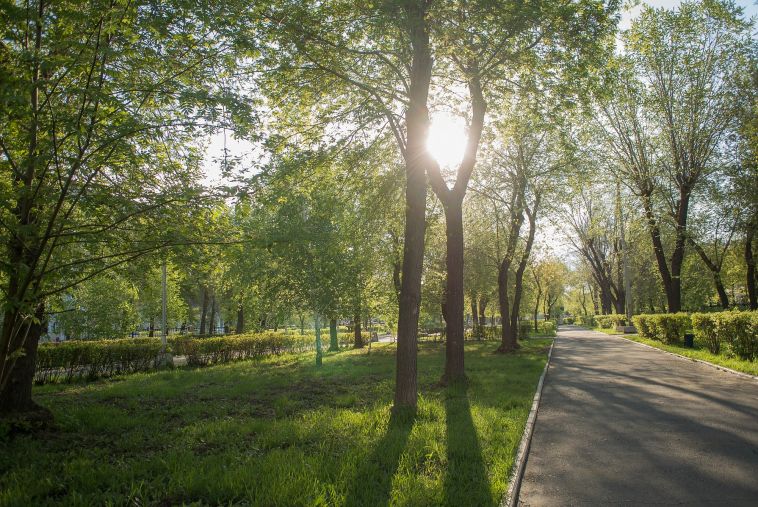 Прогноз погоды на понедельник