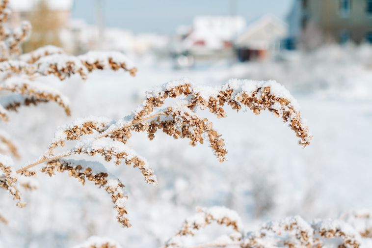 В Магнитогорске на выходных обещают снег и похолодание