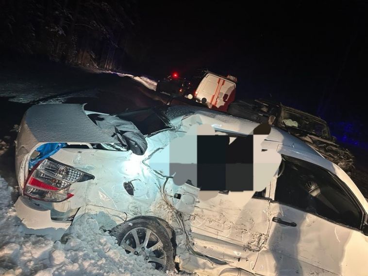 В Челябинской области две женщины погибли в лобовом ДТП