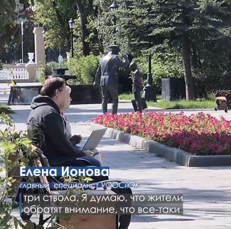 Сквер Металлургов, который был не только реконструирован в прошлом году, но и кардинально благоустроен в части озеленения территории, этим летом - зелёный и цветущий