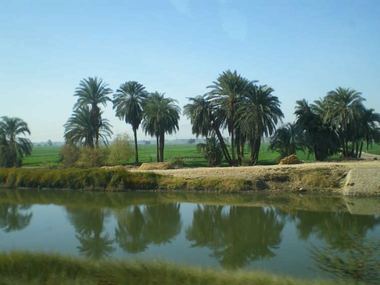 В 2025 году в Центрах реабилитации СФР прошли лечение 1 488 жителей Челябинской области, ранее пострадавшие на производстве