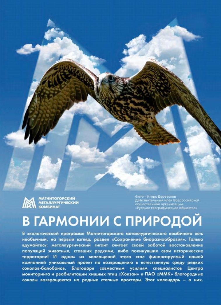 ММК представил экологический календарь на 2026 год «В гармонии с природой»
