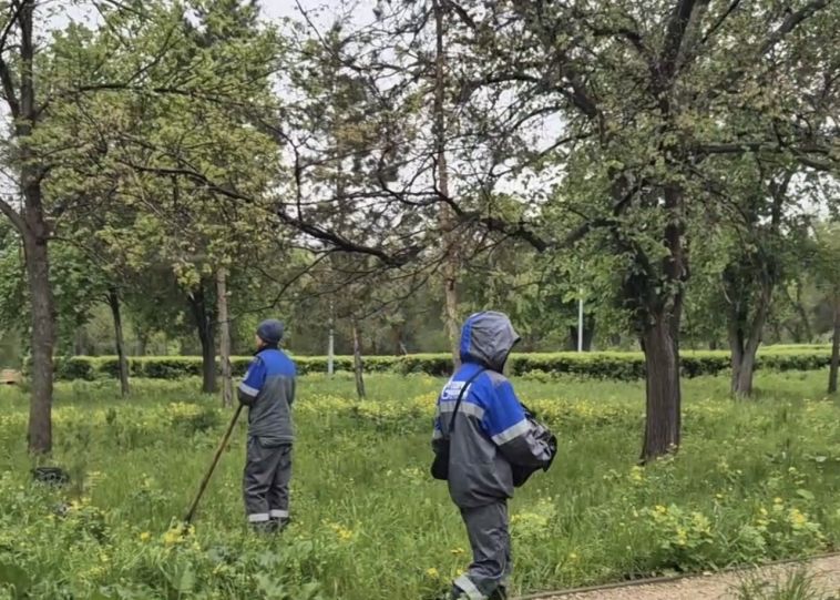 В части озеленения территории Магнитогорска проделана большая работа