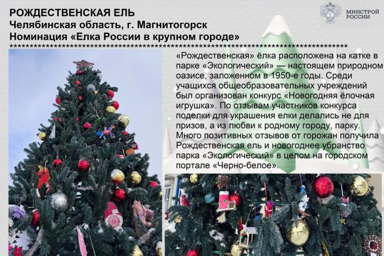 В России выбирают лучшую новогоднюю ёлку